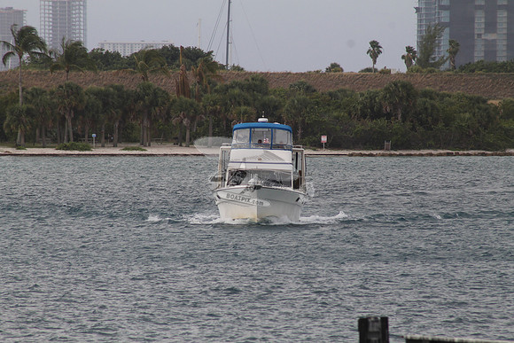 ANATINI.ST LUCIE FL.05