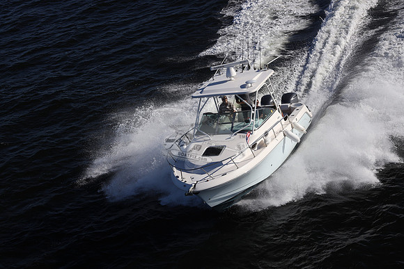 ACCI-DENTAL.JAX FL.ROBALO.19