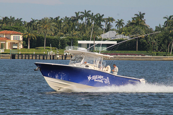BLUE DEVIL.OCEAN RIDGE FL.GRADY WHITE.03