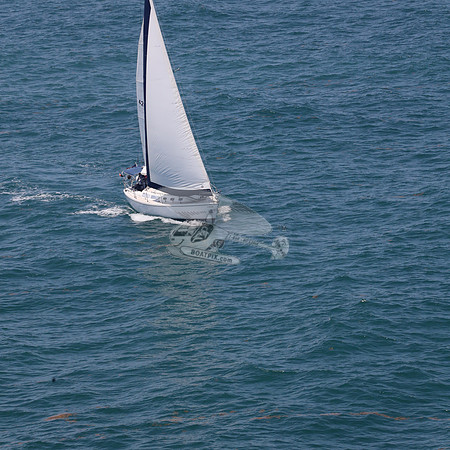 422.FL8313SN..SPIRIT OF THE WIND.42