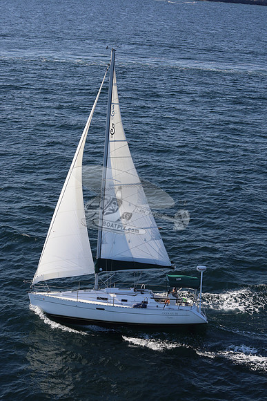 00000.clipper.pt judith.12