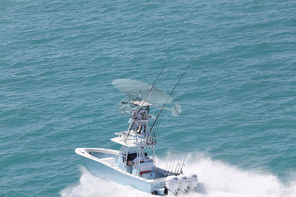conch.jorlgrave.3 white 400 merc.6322