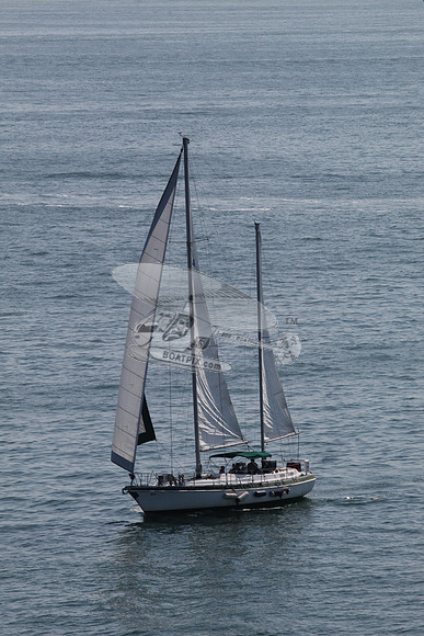 64.smaland.anna maria fl.9559