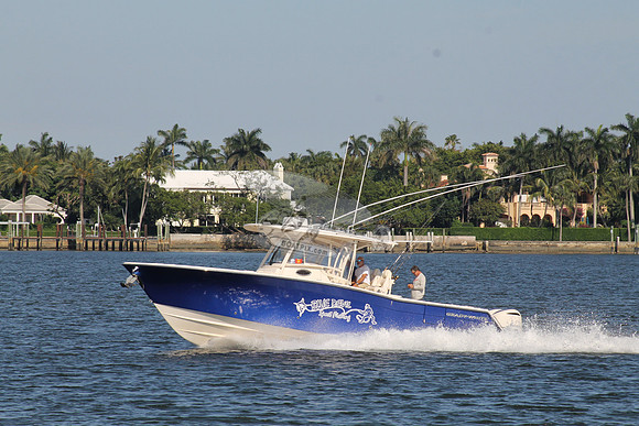 BLUE DEVIL.OCEAN RIDGE FL.GRADY WHITE.06