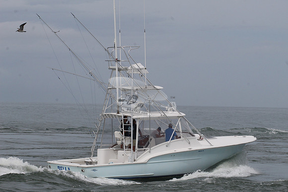 bella.4159