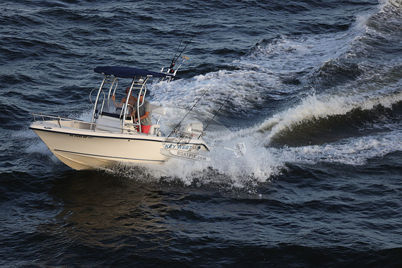 al0466vd.15