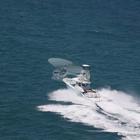 COPA..FL.YELLOWFIN.26