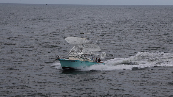 697155.hull's sea lover.ponce inlet fl.9433
