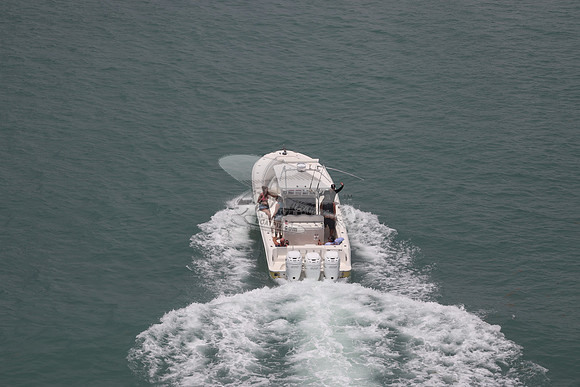 fl1285my.03