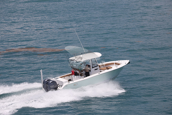 fl1853sl.sea hunt.green 2 yamah.08
