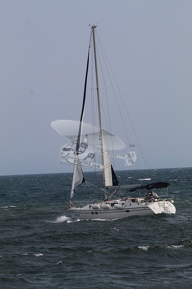 DAFFY.FL..SAIL.01