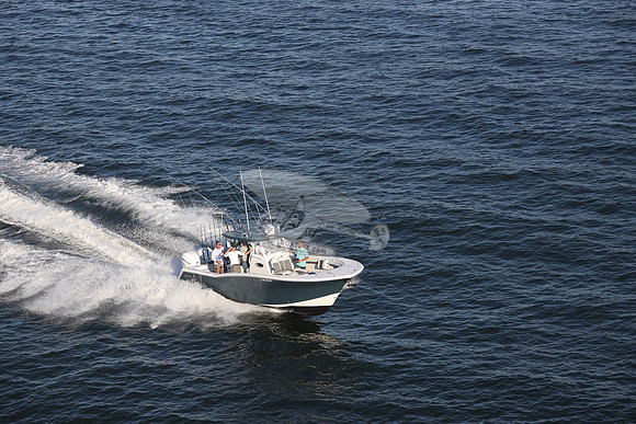 NJ1445HP.24