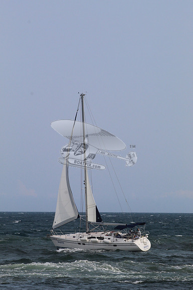 DAFFY.FL..SAIL.08
