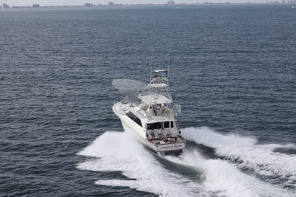 american lady.ocean view de.2188