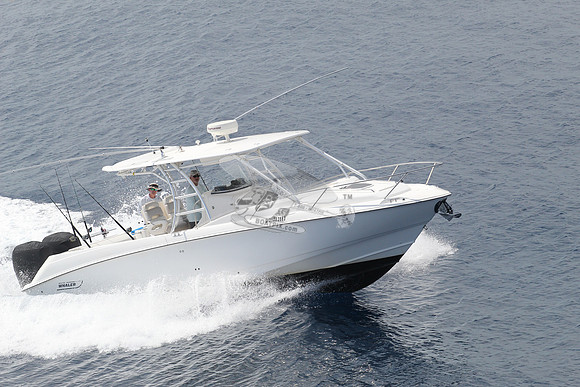 1293867.reel life.boston whaler.12