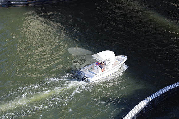 Cobia.one yamaha.1