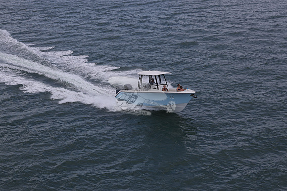 COBIA.2 YAMAHA'S.15