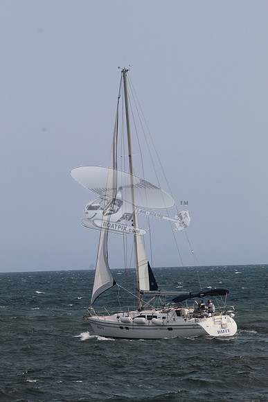 DAFFY.FL..SAIL.03