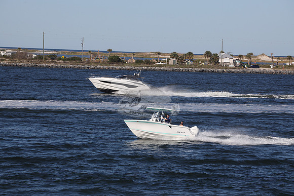BLACKFIN.FL..4