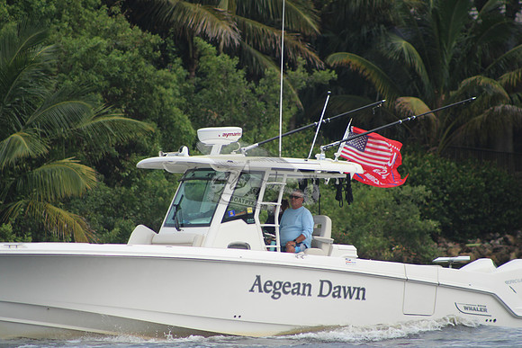 AEGEAN DAWN.51