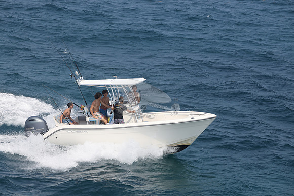 COBIA.WHITE.13