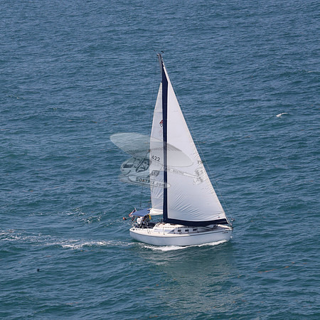 422.FL8313SN..SPIRIT OF THE WIND.36