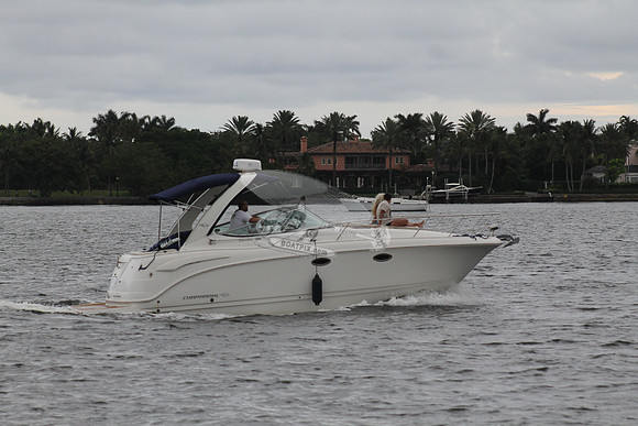 DISC GUY.PALM BCH FL.CHPRL31.707