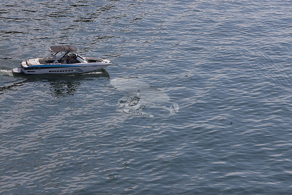 GA0356lj.wakester.01