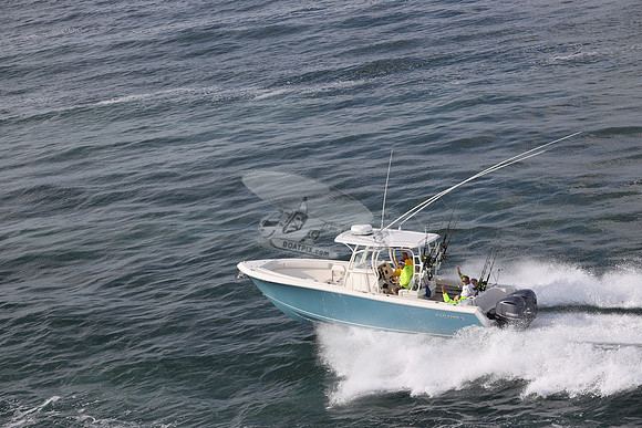 --2871ah.sailfish.blue hull.2785