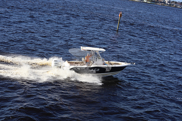 fl2331rl.jenny b.5