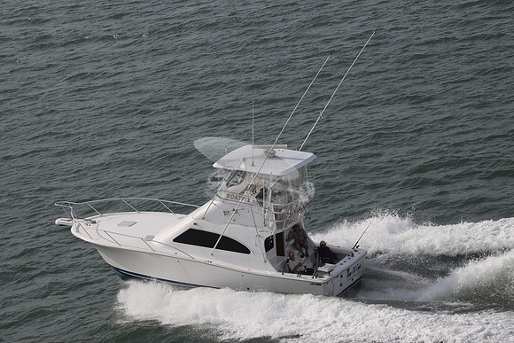 BARE OL CUDA.INDIAN RIVER DE.LUHRS.05
