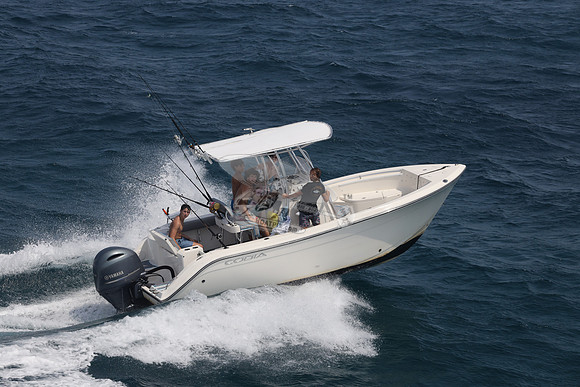 COBIA.WHITE.04