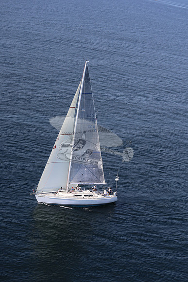 3.stormey pretrel.1