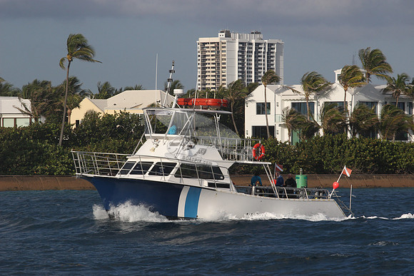 aurelia.singer island.03
