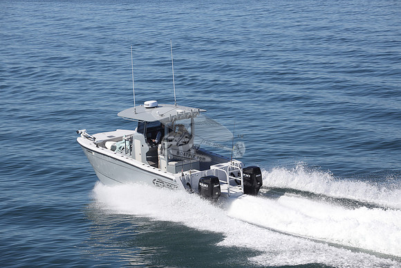 FL8410TH.02