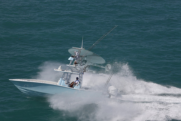 conch.jorlgrave.3 white 400 merc.6334