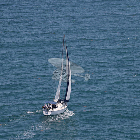 422.FL8313SN..SPIRIT OF THE WIND.09