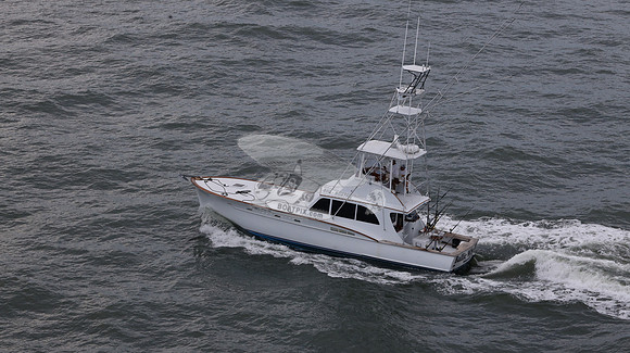 ballie who iii.islamorada fl.9511