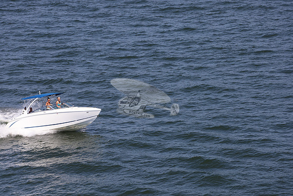 cobalt.bowrider.white blue.06