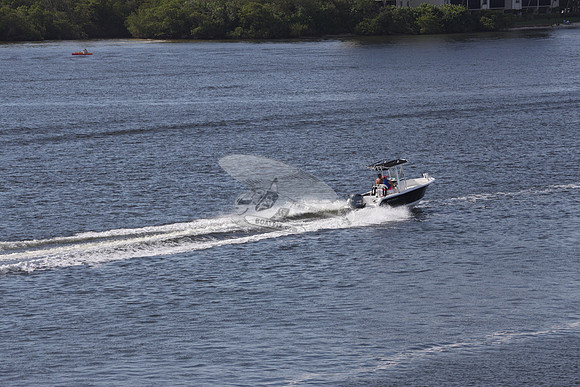 all in.sea hunt.blue.yamaha 250.1