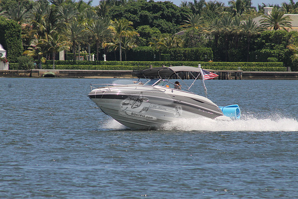 CROWNLINE.GRAY WHITE.03