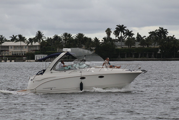 DISC GUY.PALM BCH FL.CHPRL31.705