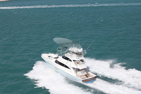 a work of art.orange beach al.9862