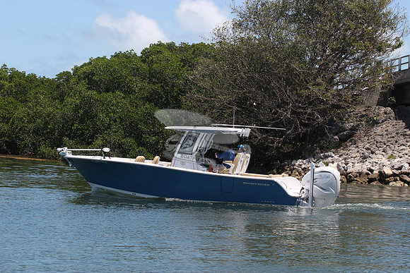 fl0605tf.0239