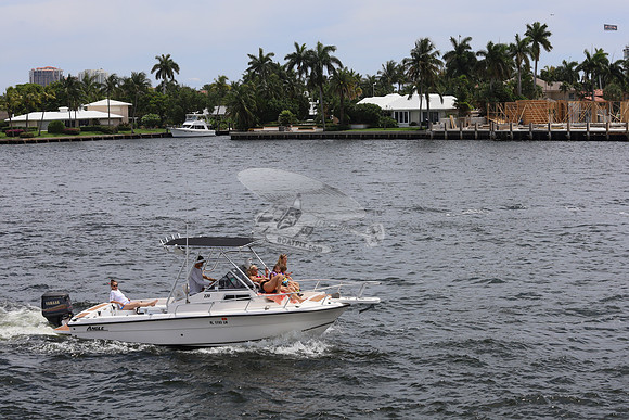 FL1193LN.3