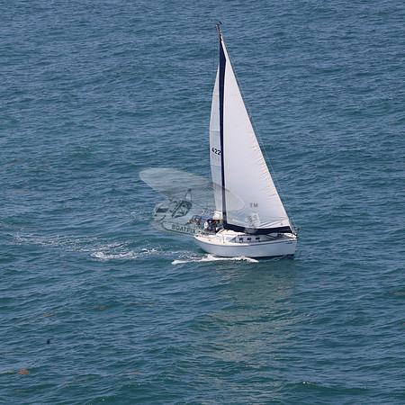 422.FL8313SN..SPIRIT OF THE WIND.39