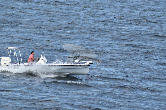 FL1841SB.6
