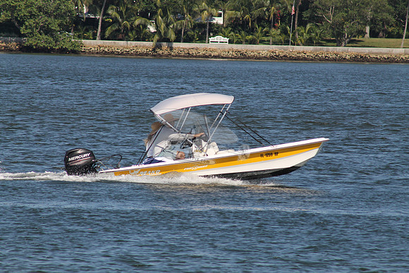 FL1259RP.05