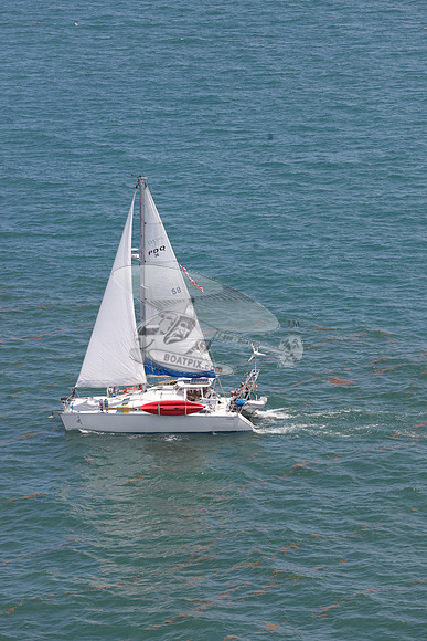 58.PDQ36.35