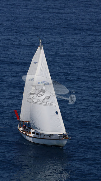 25529.AL0021RS.19